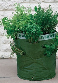 Garden planter bag